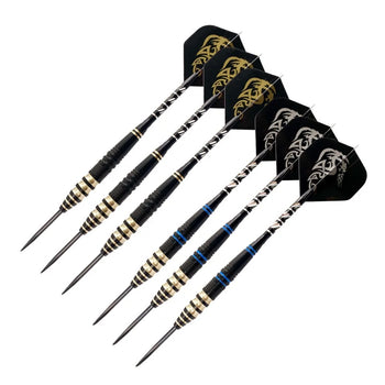 Professional Darts
