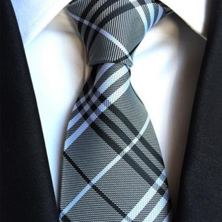 100% Silk Ties