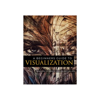 A Beginners Guide To Visualization