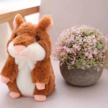 Talking Hamster