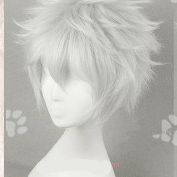 Anime / Cosplay Wig + Free Wig Cap