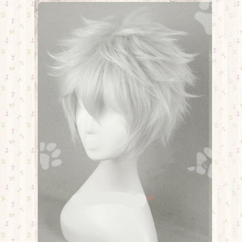 Anime / Cosplay Wig + Free Wig Cap